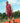 5" TRAINING SHORT MENS DEEP CHERRY